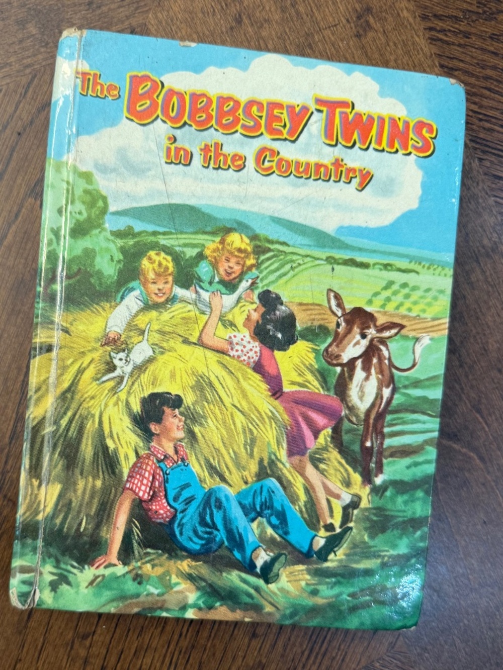 Bobbsey twins book 1950